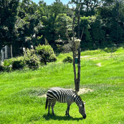 君の街までのジャケット写真