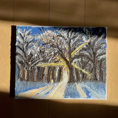 December's sun-dappled embrace Front Cover