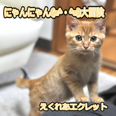 Nyan Nyan Daibouken Front Cover