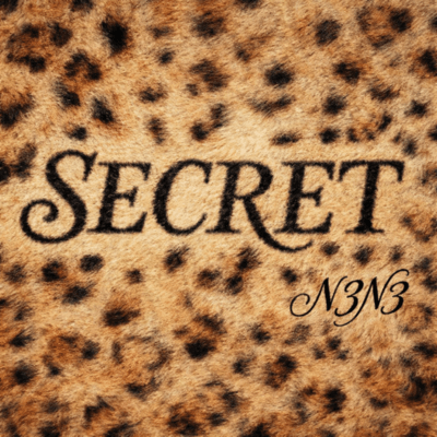 Secret Front Cover