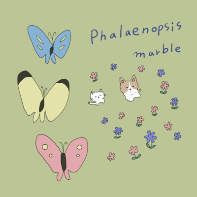 Phalaenopsis Front Cover