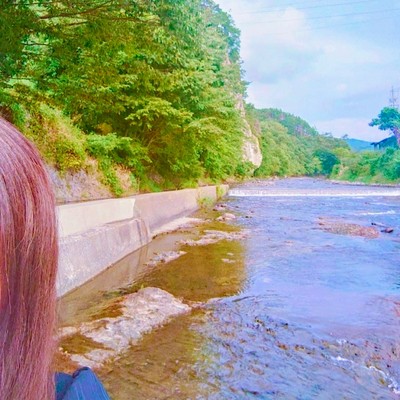 蒼のジャケット写真