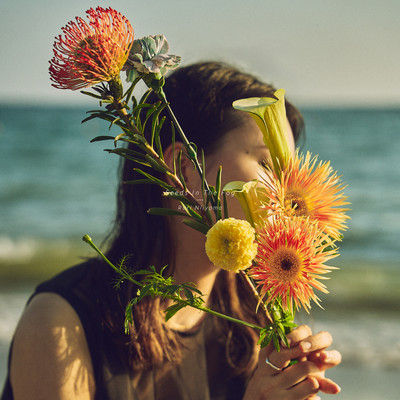 Seeds In The Fogのジャケット写真