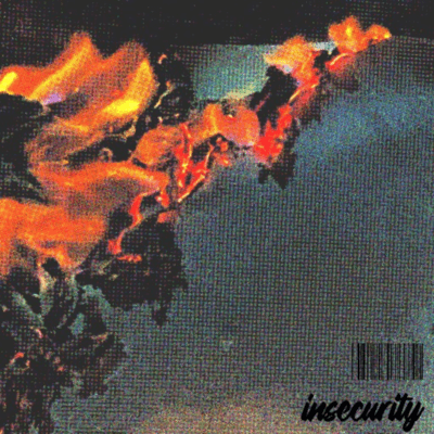 insecurity Front Cover