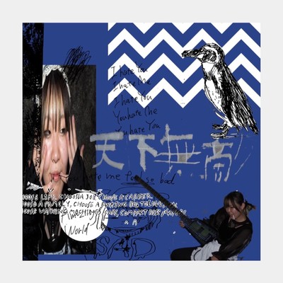 invincible world Front Cover