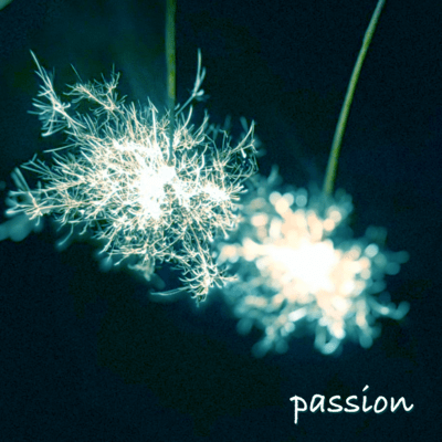 passion (feat. Katabami) Front Cover