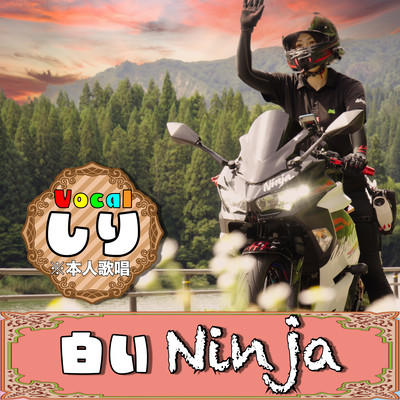 白いNinjaのジャケット写真