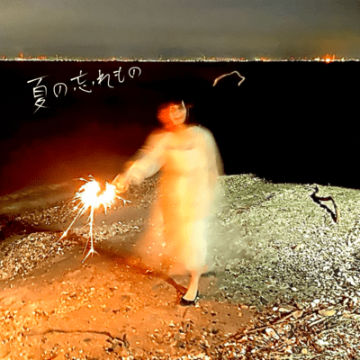 Things forgotten in summer Front Cover