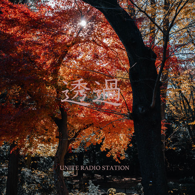 透過のジャケット写真