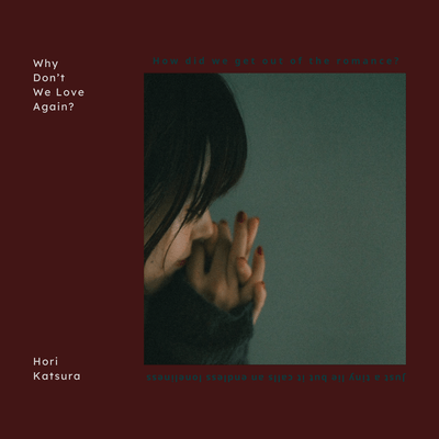 Why Don't We Love Again? Front Cover