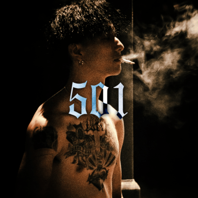 501のジャケット写真