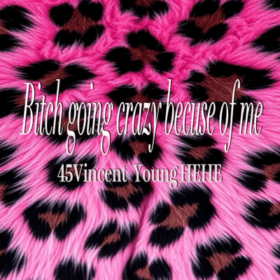 Bitch going crazy because of me Front Cover