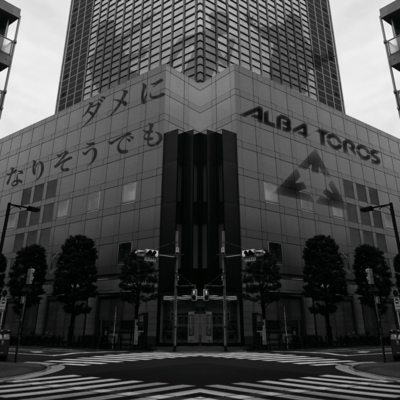 ダメになりそうでものジャケット写真