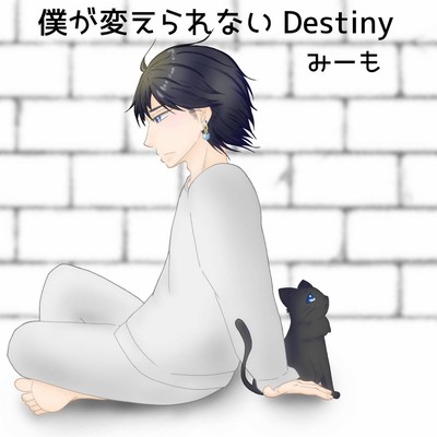 僕が変えられないDestinyのジャケット写真