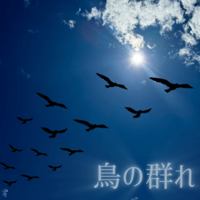 Torinomure Front Cover