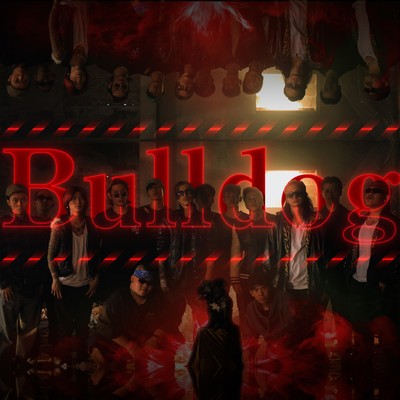 Bulldog Front Cover