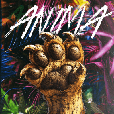 ANIMA Front Cover