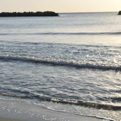 Purple Seaのジャケット写真