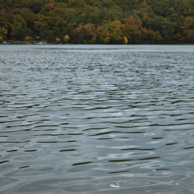 Biotop Taupe Front Cover