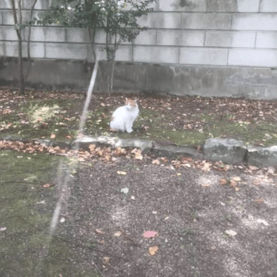 SmartValue/のジャケット写真