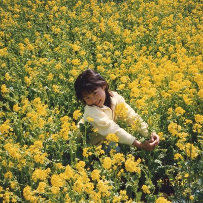 Ifのジャケット写真