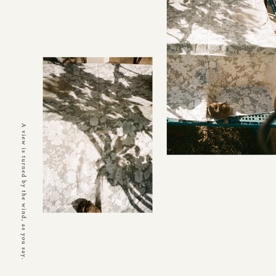 A view is turned by the wind, as you say. Front Cover