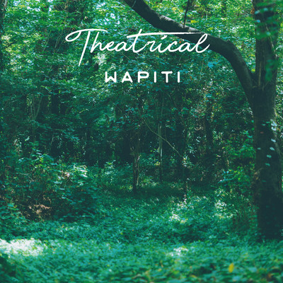 Theatrical Front Cover