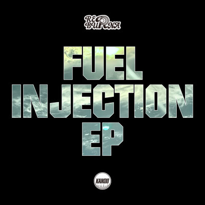 FUEL INJECTION Front Cover