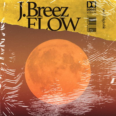 FLOW Front Cover