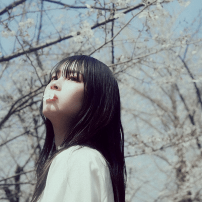 hana ga natta Front Cover