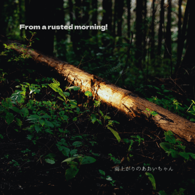 From a rusted morning!のジャケット写真