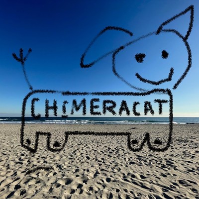 The Sky Is Crying Along With Me Front Cover