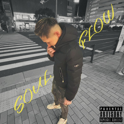 Soul Flow Front Cover