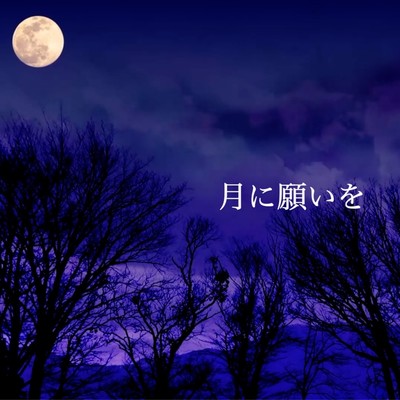 Wish upon the moon Front Cover