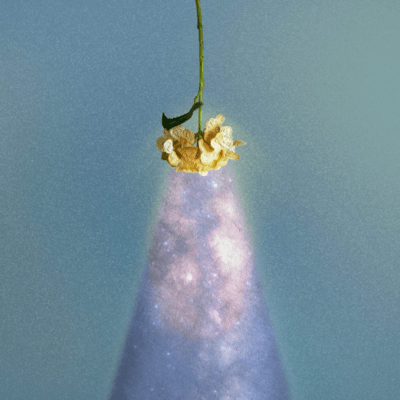 デブリのジャケット写真