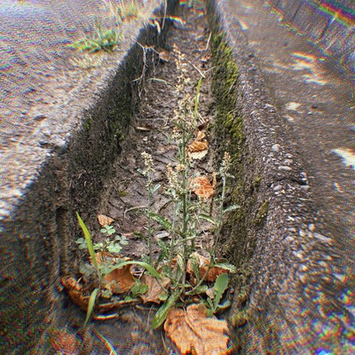 dei.のジャケット写真