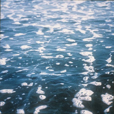 osakana yurayura Front Cover