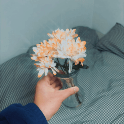 sashiatari. Front Cover