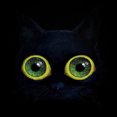 Naptac no CseE Front Cover