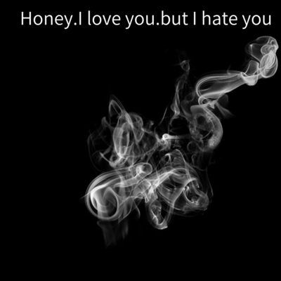 Honey.I love you but I hate you Front Cover