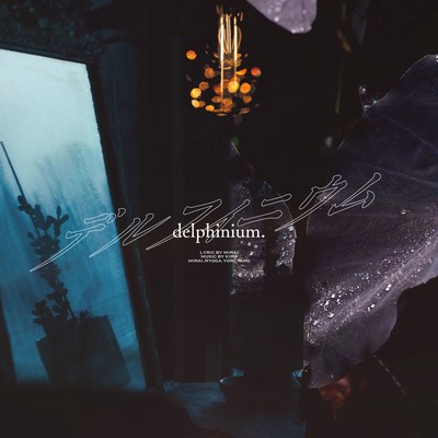 delphinium. Front Cover