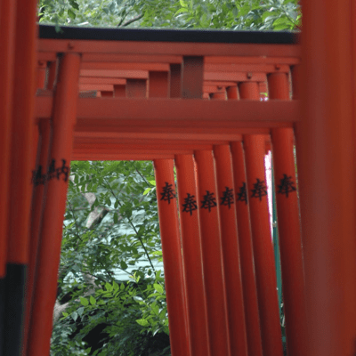 Novel Music: Cosmic Era 80 Swing (KAISAKU Studio vere) Front Cover