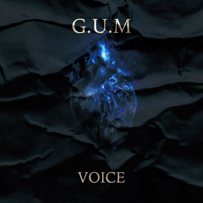 VOICE Front Cover