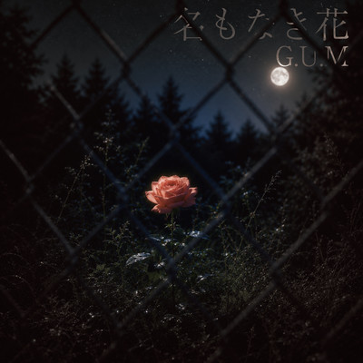名もなき花のジャケット写真