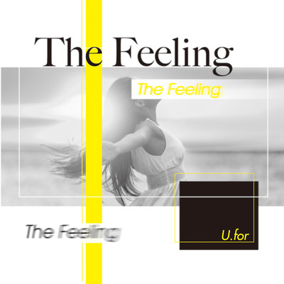 The Feeling Front Cover