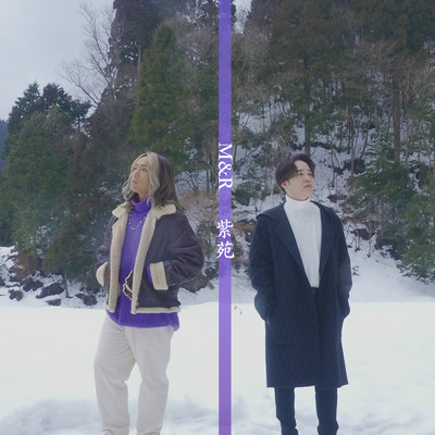 紫苑のジャケット写真