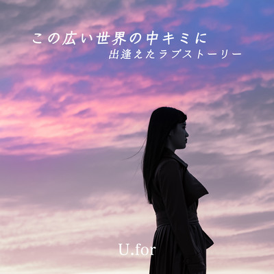 A love story of meeting you in this wide world Front Cover