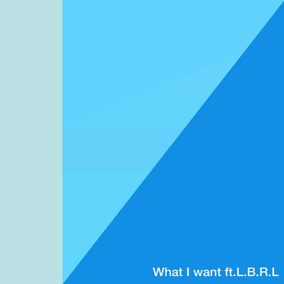 What I want Front Cover