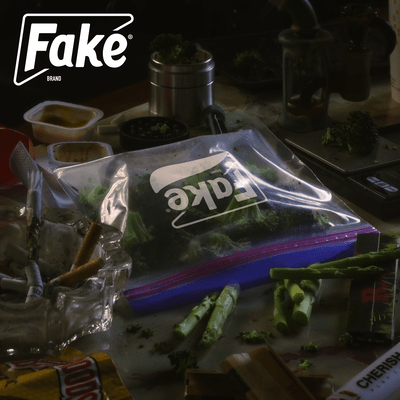 Fake Front Cover