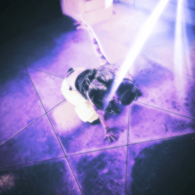 Lacrimosa (gothic)のジャケット写真